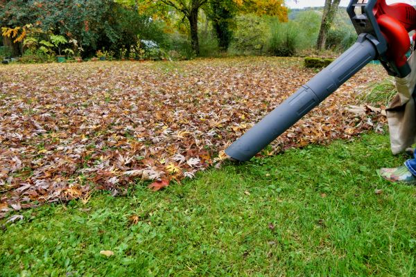 Leaf Vacuuming Service in Upper Marlboro