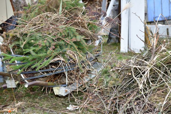 Cost of Yard Waste Removal Service in Upper Marlboro