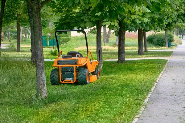 Landscaping Cleanup Service in Upper Marlboro