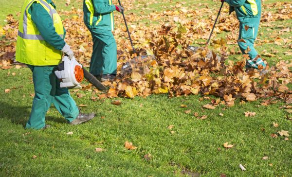 Leaf Maintenance in Upper Marlboro