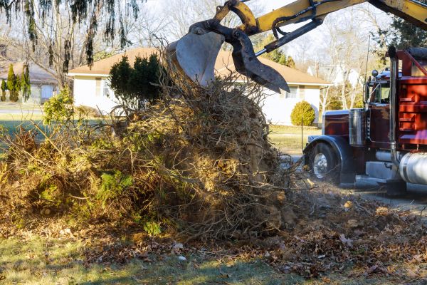 Cost of Storm Debris Removal in Upper Marlboro