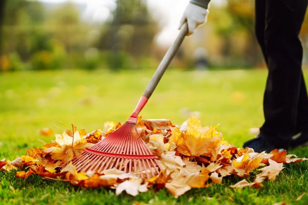 Ditch Leaf Removal in Upper Marlboro