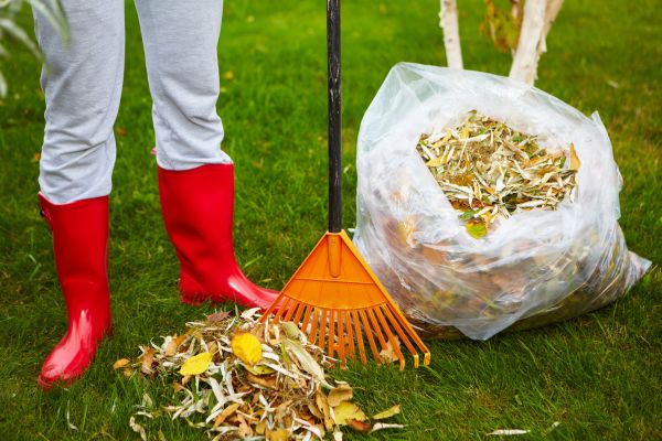 Leaf Disposal Service in Upper Marlboro