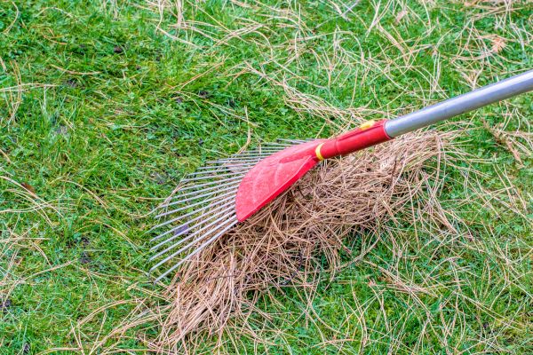 Yard Raking in Upper Marlboro