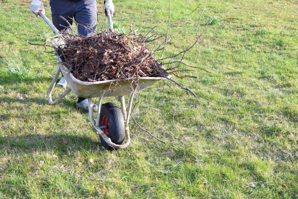 Cost of Yard Brush Removal in Upper Marlboro