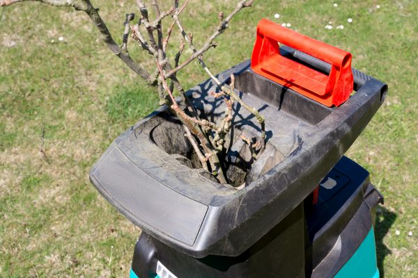 Cost of Brush Cleanup Service in Upper Marlboro