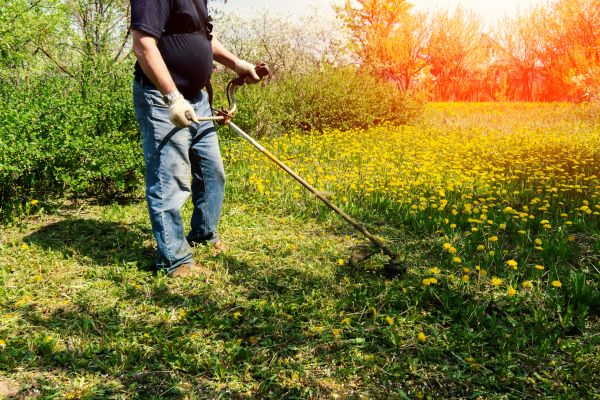 Yard Clearing Service in Upper Marlboro