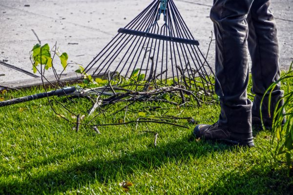 Yard Debris Cleanup in Upper Marlboro