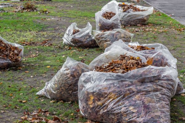 Leaf Pile Disposal in Upper Marlboro