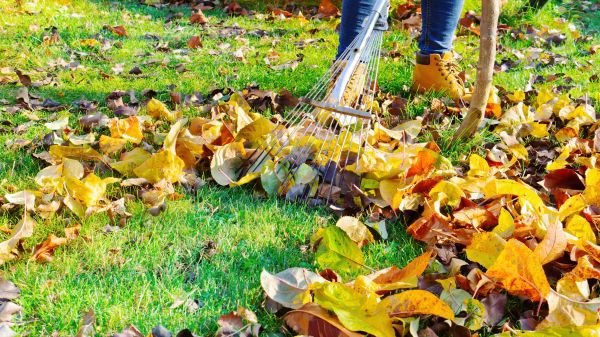 Lawn Cleanup Service in Upper Marlboro