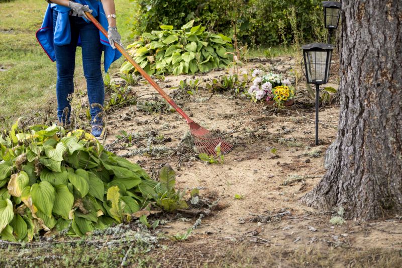 Brush Cleanup Service