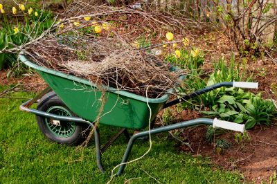 Spring cleanup activity