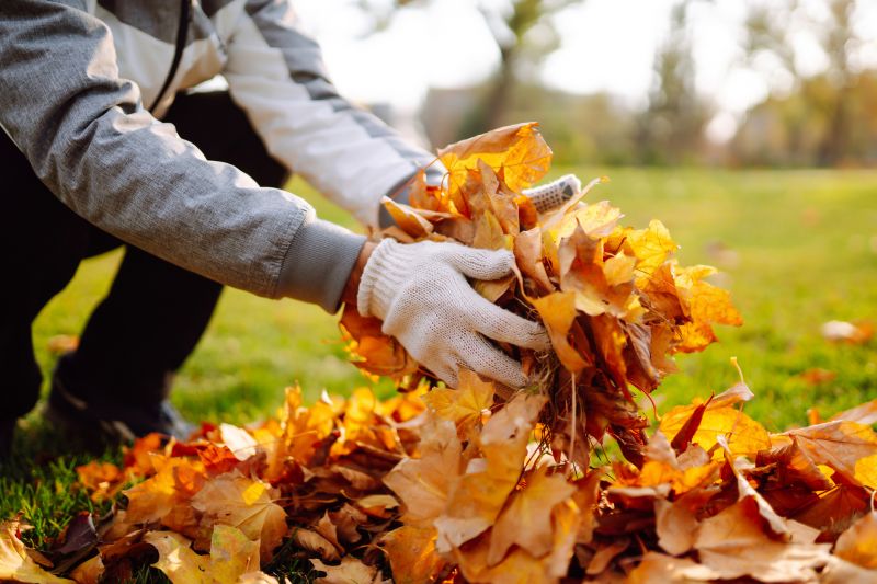 Autumn leaf removal